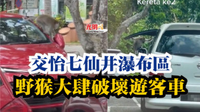 Photo of 交怡七仙井瀑布區  野猴大肆破壞遊客車