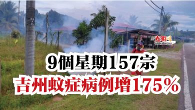Photo of 9個星期157宗  吉州蚊症病例增175％