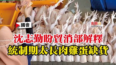 Photo of 【國會】沈志勤盼貿消部解釋  統制期太長肉雞蛋缺貨