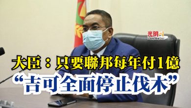 Photo of 大臣：只要聯邦每年付1億  “吉可全面停止伐木”