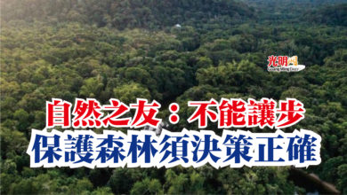 Photo of 自然之友:不能讓步 保護森林須決策正確