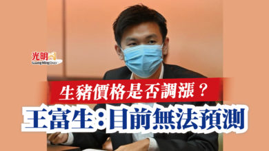 Photo of 生豬價格是否調漲？  王富生：目前無法預測