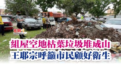 Photo of 組屋空地枯葉垃圾堆成山 王耶宗呼籲市民顧好衛生