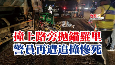 Photo of 撞上路旁拋錨羅里  警員再遭追撞慘死