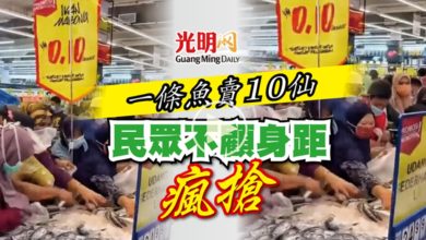 Photo of 【內附視頻】一條魚賣10仙 民眾不顧身距瘋搶
