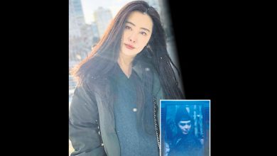 Photo of 息影18年傳復出 王祖賢驚現向佐新片