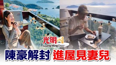 Photo of 陳豪解封 進屋見妻兒