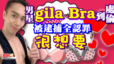 Photo of 男星gila Bra 到處偷 被逮捕全認罪「很想要」