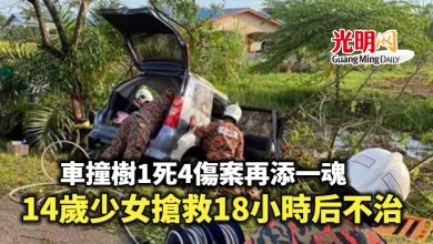 Photo of 車撞樹1死4傷案再添一魂 14歲少女也不治