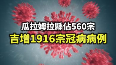 Photo of 瓜拉姆拉縣佔560宗 吉增1916宗冠病病例