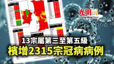 Photo of 13宗屬第三至第五級 檳增2315宗冠病病例