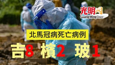 Photo of 吉8宗最多 北馬11宗冠病死亡病例