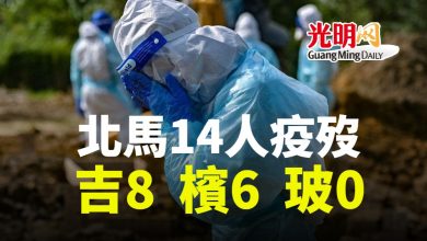 Photo of 吉8人檳6人 北馬14人疫歿