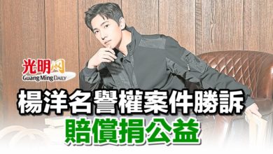 Photo of 楊洋名譽權案件勝訴 賠償捐公益