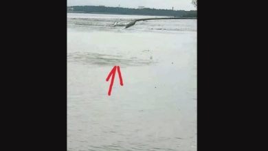 Photo of 海底水管破裂致低水壓 吉膽島需節約用水