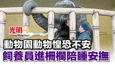 Photo of 動物園動物惶恐不安 飼養員進柵欄陪睡安撫