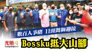 Photo of 數百人爭睹 11頭舞獅迎接 Bossku抵大山腳