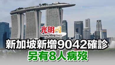 Photo of 新加坡新增9042確診 另有8人病歿