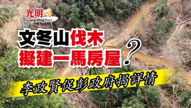 Photo of 文冬山伐木擬建一馬房屋？ 李政賢促彭政府揭詳情