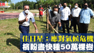 Photo of 佳日星：應對氣候危機  檳盼盡快種50萬棵樹