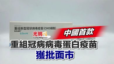 Photo of 中國首款重組冠病病毒蛋白疫苗獲批面市