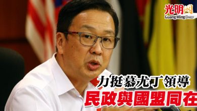 Photo of 力挺慕尤丁領導   民政與國盟同在