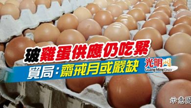 Photo of 玻雞蛋供應仍吃緊 貿局：齋戒月或嚴缺