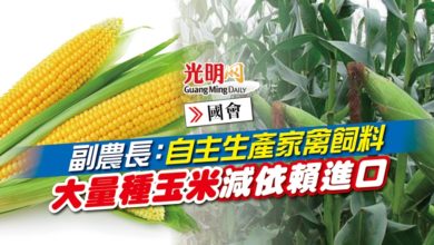 Photo of 【國會】副農長：自主生產家禽飼料 大量種玉米減依賴進口
