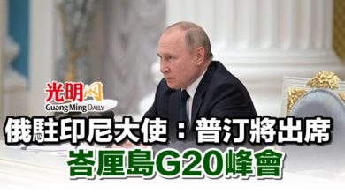 Photo of 俄駐印尼大使：普汀將出席峇厘島G20峰會