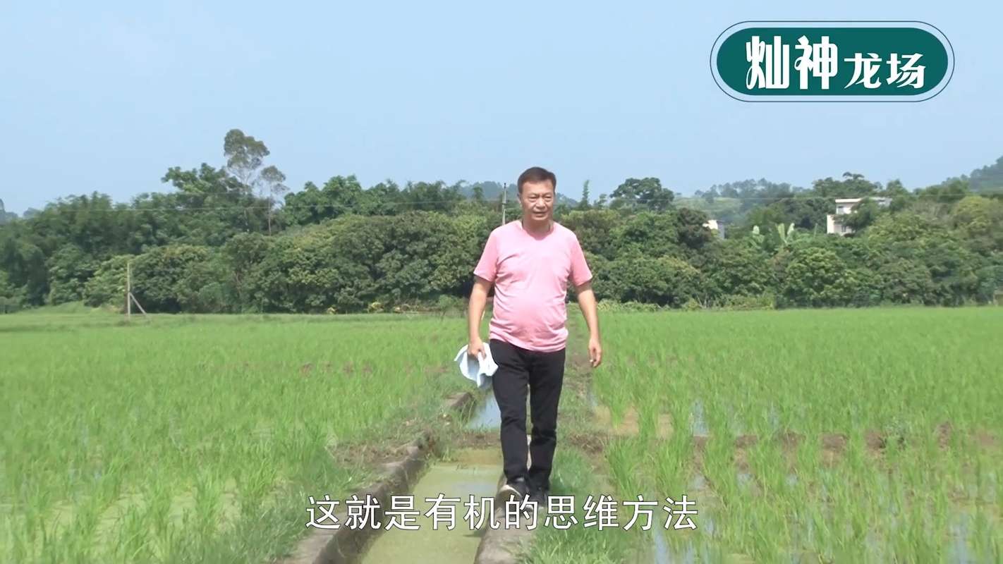 「亞燦米」獲頒全國十大好米，更是中國華南地區唯一有國際三大認證的大米。