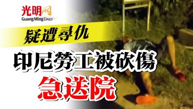 Photo of 疑遭尋仇  印尼勞工被砍傷急送院