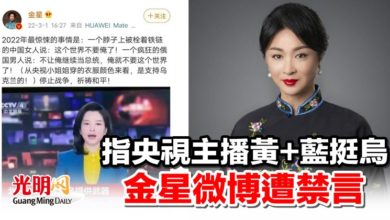 Photo of 指央視主播黃+藍挺烏 金星微博遭禁言