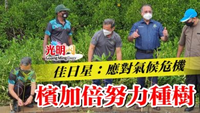 Photo of 佳日星：應對氣候危機 檳加倍努力種樹