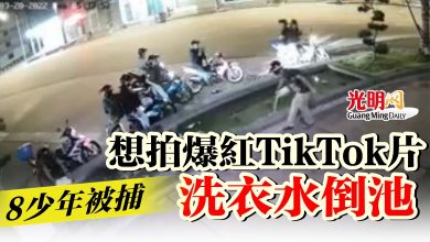 Photo of 【內附視頻】想拍爆紅TikTok片洗衣水倒池 8少年被捕