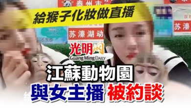 Photo of 給猴子化妝做直播 江蘇動物園與女主播被約談