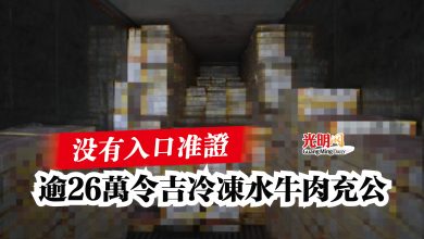 Photo of 沒有入口准證  逾26萬令吉冷凍水牛肉充公