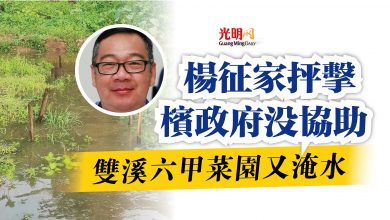 Photo of 雙溪六甲菜園又淹水  楊征家抨擊檳政府沒協助