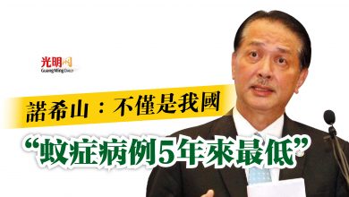 Photo of 諾希山：不僅是我國  “蚊症病例5年來最低”
