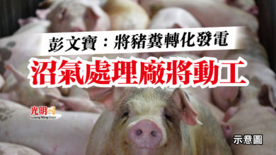 Photo of 彭文寶:將豬糞轉化發電 沼氣處理廠將動工