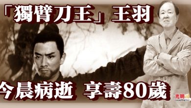 Photo of 「獨臂刀王」王羽今晨病逝 享壽80歲