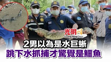 Photo of 2男以為是水巨蜥 跳下水抓捕才驚覺是鱷魚