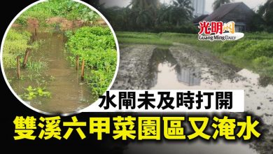 Photo of 水閘未及時打開 雙溪六甲菜園區又淹水
