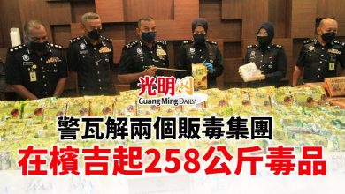 Photo of 警方瓦解兩個販毒集團 在檳吉捉9人起258公斤毒品