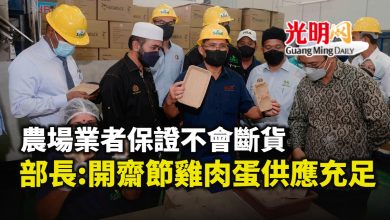 Photo of 農場業者保證不會出現斷貨 部長:開齋節雞肉蛋供應充足