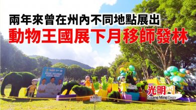 Photo of 兩年來曾在州內不同地點展出 動物王國展下月移師發林