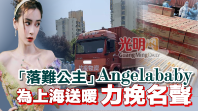 Photo of 「落難公主」Angelababy  為上海送暖力挽名聲