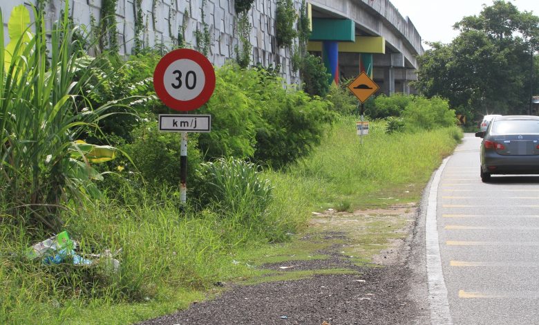 野草多時沒清理，已漸漸延伸長到道路。