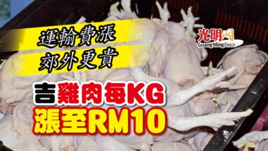 Photo of 運輸費漲 郊外更貴 吉雞肉每KG漲至RM10