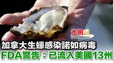 Photo of 加拿大生蠔感染諾如病毒 FDA警告：已流入美國13州