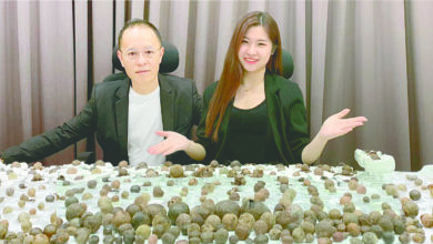 Photo of “超過 70% 箭豬棗是假貨”  同心圓怒揭 奸商牟暴利
